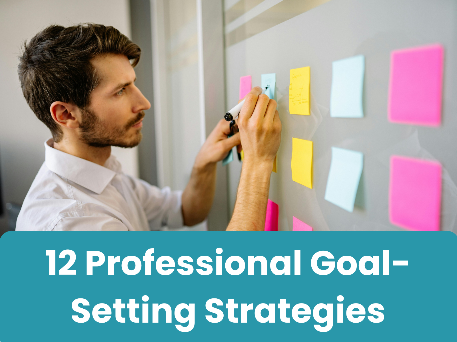 Professional Goal Setting